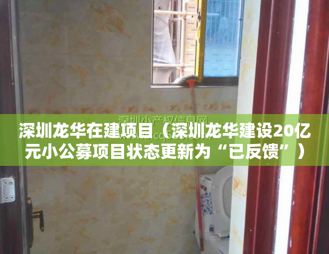 深圳龙华在建项目（深圳龙华建设20亿元小公募项目状态更新为“已反馈”）