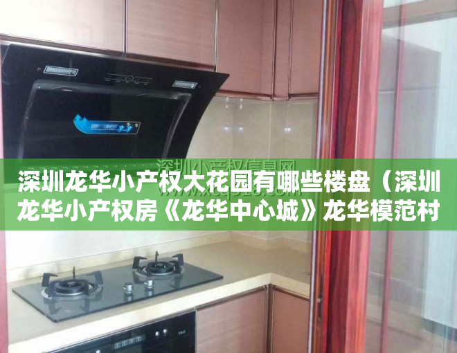 深圳龙华小产权大花园有哪些楼盘（深圳龙华小产权房《龙华中心城》龙华模范村 全城最低价自带天然气）