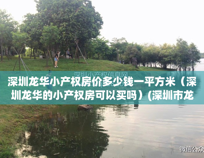 深圳龙华小产权房价多少钱一平方米（深圳龙华的小产权房可以买吗）(深圳市龙华小产权房多少钱一平方)