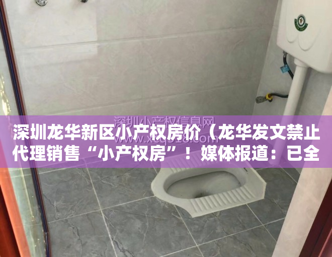 深圳龙华新区小产权房价（龙华发文禁止代理销售“小产权房”！媒体报道：已全市要求）