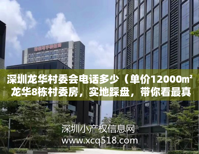 深圳龙华村委会电话多少（单价12000㎡ 龙华8栋村委房，实地踩盘，带你看最真实的村委房！）