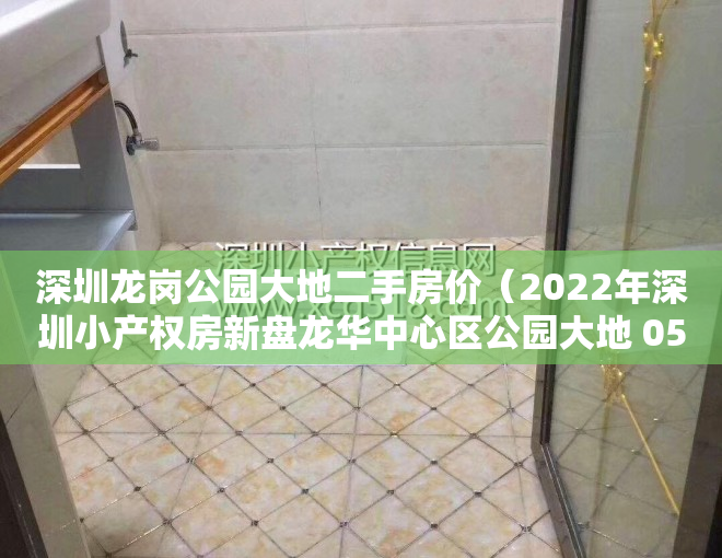 深圳龙岗公园大地二手房价（2022年深圳小产权房新盘龙华中心区公园大地 05户型）