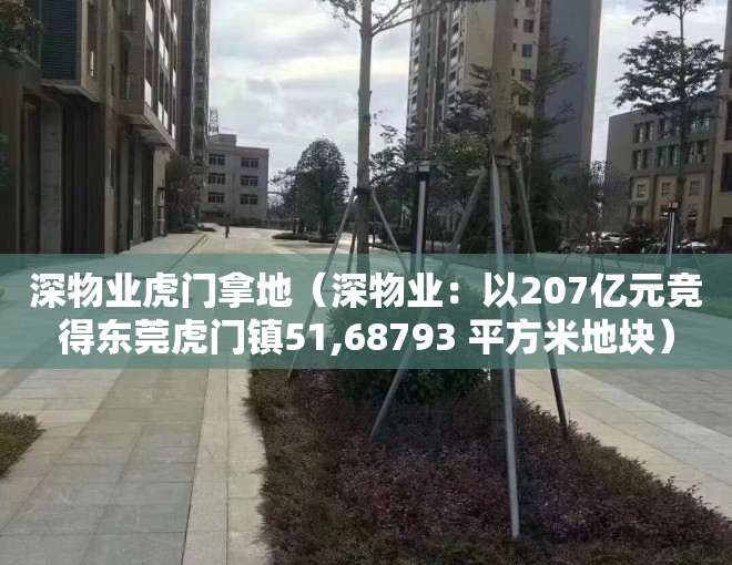 深物业虎门拿地（深物业：以207亿元竞得东莞虎门镇51,68793 平方米地块）