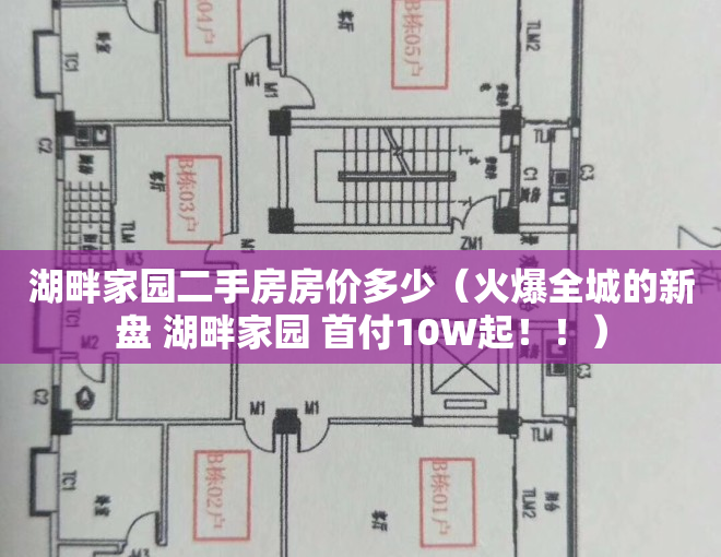 湖畔家园二手房房价多少（火爆全城的新盘 湖畔家园 首付10W起！！）