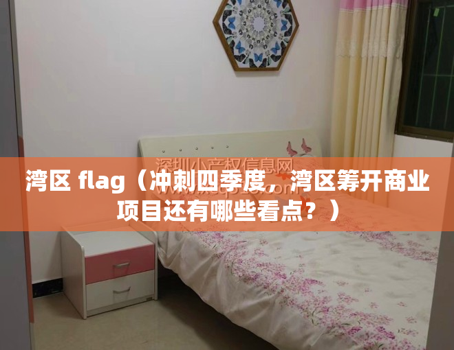 湾区 flag（冲刺四季度，湾区筹开商业项目还有哪些看点？）