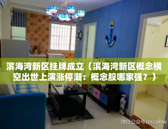 滨海湾新区挂牌成立（滨海湾新区概念横空出世上演涨停潮：概念股哪家强？）