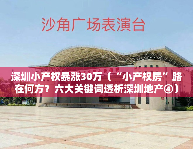 深圳小产权暴涨30万（“小产权房”路在何方？六大关键词透析深圳地产④）