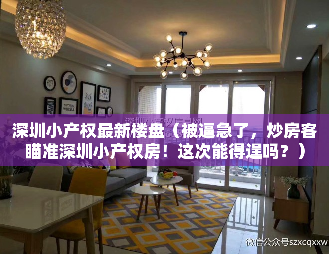 深圳小产权最新楼盘（被逼急了，炒房客瞄准深圳小产权房！这次能得逞吗？）