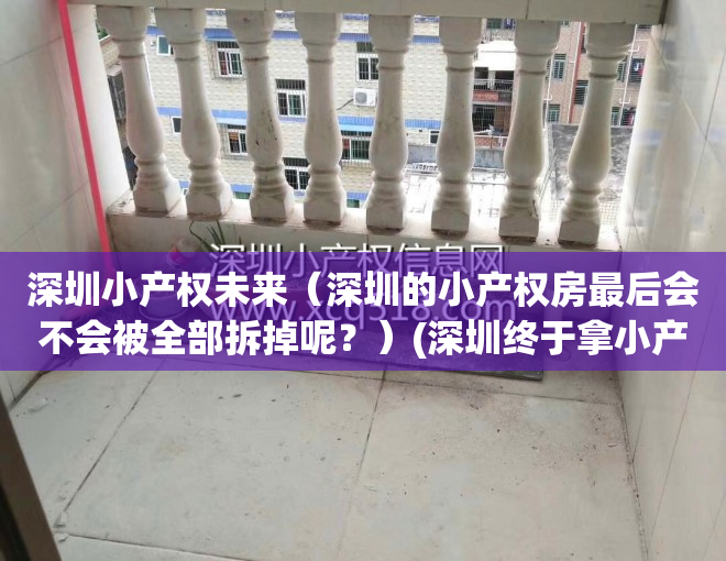深圳小产权未来（深圳的小产权房最后会不会被全部拆掉呢？）(深圳终于拿小产权房“开刀”了)