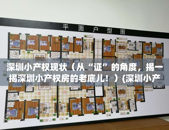 深圳小产权现状（从“证”的角度，揭一揭深圳小产权房的老底儿！）(深圳小产权房何去何从)
