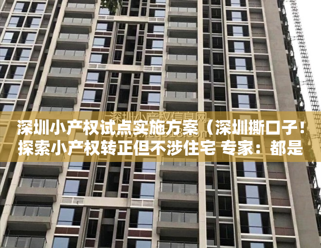 深圳小产权试点实施方案（深圳撕口子！探索小产权转正但不涉住宅 专家：都是人为设限）