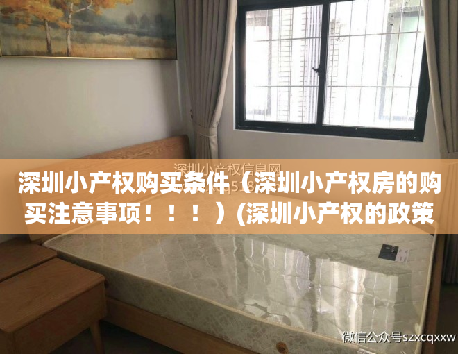 深圳小产权购买条件（深圳小产权房的购买注意事项！！！）(深圳小产权的政策)