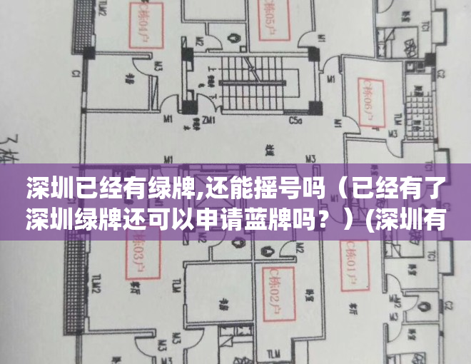 深圳已经有绿牌,还能摇号吗（已经有了深圳绿牌还可以申请蓝牌吗？）(深圳有了绿牌还能摇蓝牌嘛)