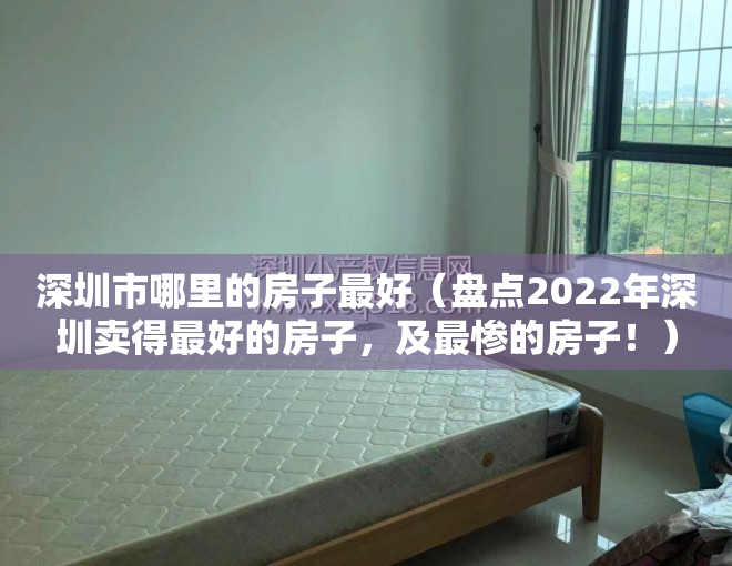 深圳市哪里的房子最好（盘点2022年深圳卖得最好的房子，及最惨的房子！）