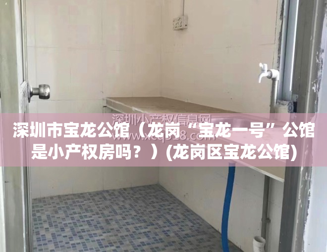 深圳市宝龙公馆（龙岗“宝龙一号”公馆是小产权房吗？）(龙岗区宝龙公馆)