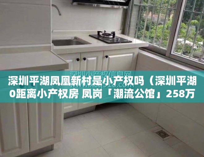 深圳平湖凤凰新村是小产权吗（深圳平湖0距离小产权房 凤岗「潮流公馆」258万一套 带装修）