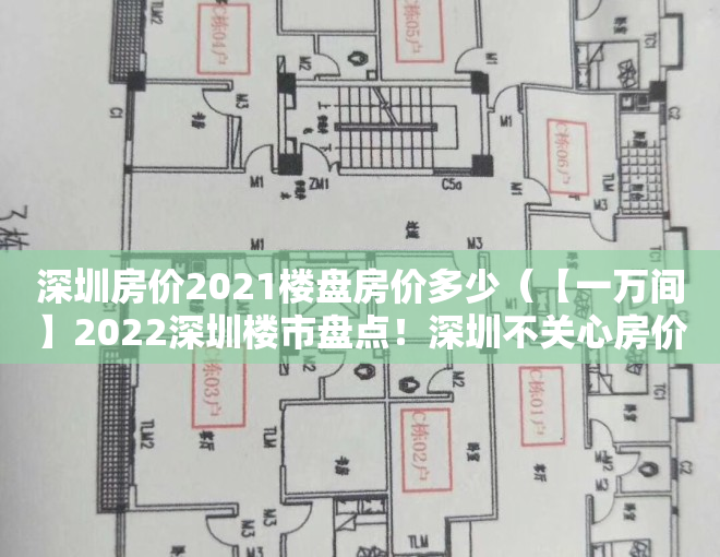 深圳房价2021楼盘房价多少（【一万间】2022深圳楼市盘点！深圳不关心房价，只想“先行先试”房地产改革）