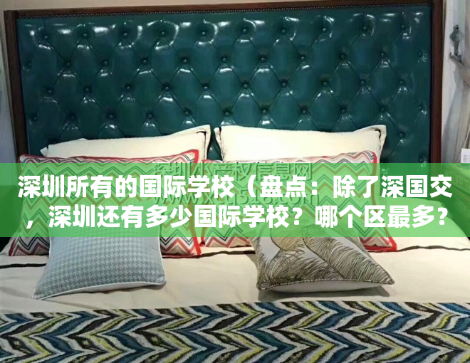深圳所有的国际学校（盘点：除了深国交，深圳还有多少国际学校？哪个区最多？）