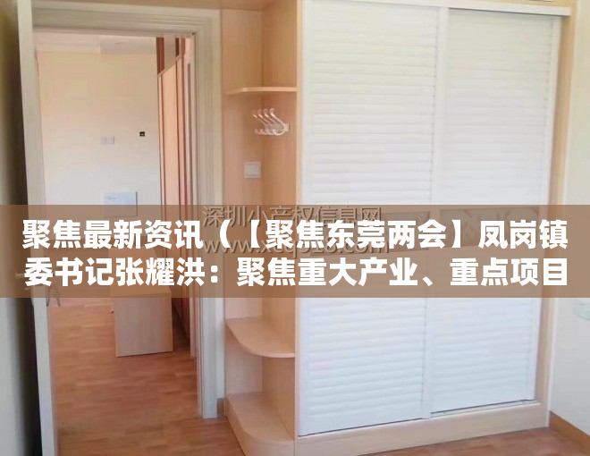 聚焦最新资讯（【聚焦东莞两会】凤岗镇委书记张耀洪：聚焦重大产业、重点项目，塑造高质量发展新优势）