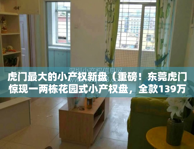 虎门最大的小产权新盘（重磅！东莞虎门惊现一两栋花园式小产权盘，全款139万一套还送精装修）