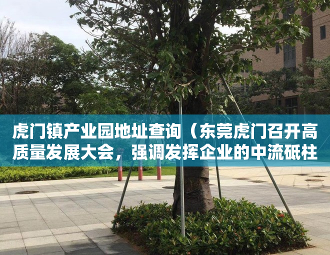 虎门镇产业园地址查询（东莞虎门召开高质量发展大会，强调发挥企业的中流砥柱作用）