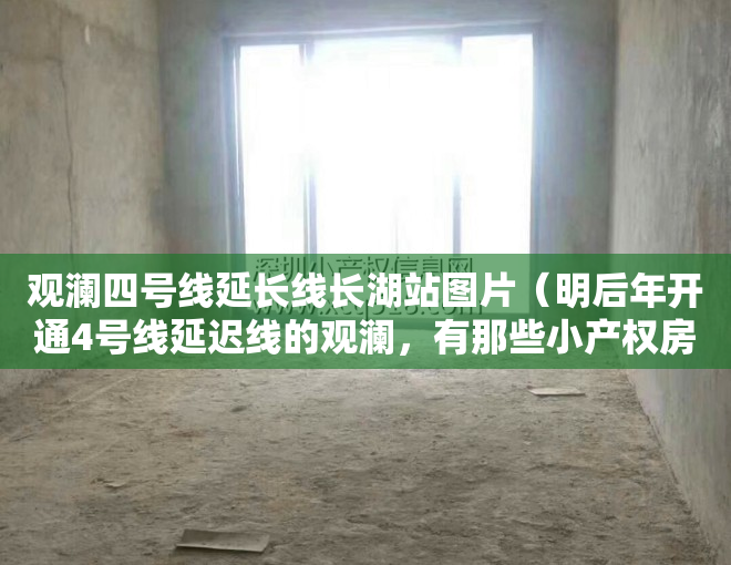观澜四号线延长线长湖站图片（明后年开通4号线延迟线的观澜，有那些小产权房值得购买？）
