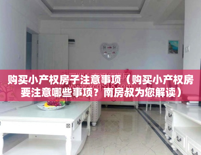 购买小产权房子注意事项（购买小产权房要注意哪些事项？南房叔为您解读）