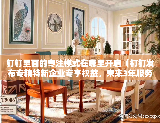 钉钉里面的专注模式在哪里开启（钉钉发布专精特新企业专享权益，未来3年服务2万家深圳中小企业推进数字化转型）