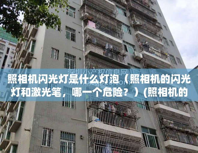 照相机闪光灯是什么灯泡（照相机的闪光灯和激光笔，哪一个危险？）(照相机的闪光灯是什么样的)