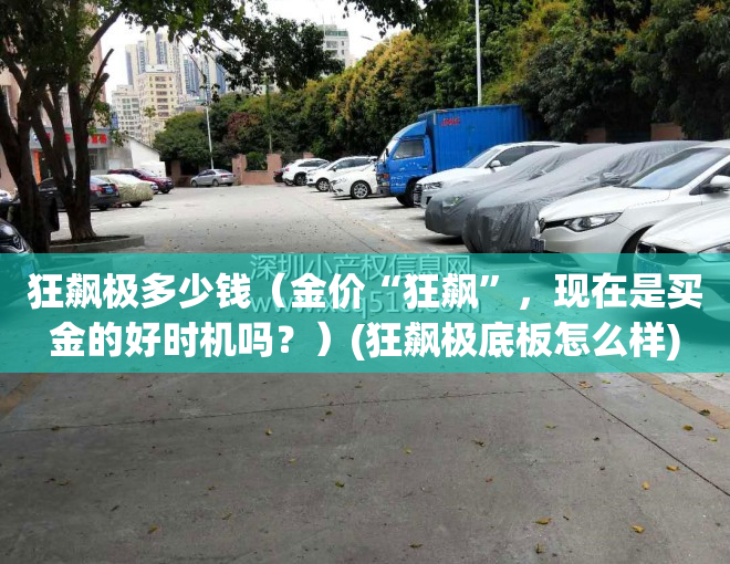 狂飙极多少钱（金价“狂飙”，现在是买金的好时机吗？）(狂飙极底板怎么样)