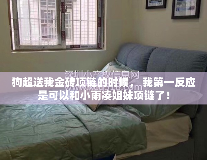 狗超送我金砖项链的时候， 我第一反应是可以和小雨凑姐妹项链了！