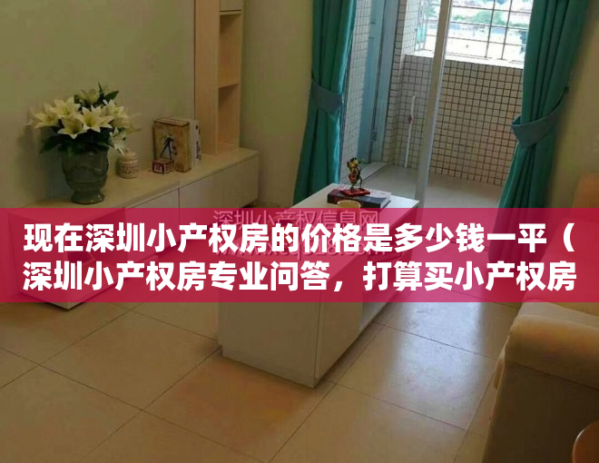 现在深圳小产权房的价格是多少钱一平（深圳小产权房专业问答，打算买小产权房的值得收藏！）