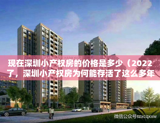 现在深圳小产权房的价格是多少（2022了，深圳小产权房为何能存活了这么多年!）