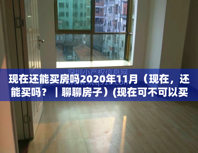 现在还能买房吗2020年11月（现在，还能买吗？｜聊聊房子）(现在可不可以买房来了会不会降价)