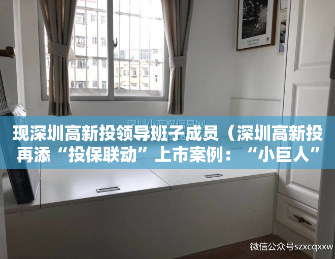 现深圳高新投领导班子成员（深圳高新投再添“投保联动”上市案例：“小巨人”凌雄科技港交所主板上市）