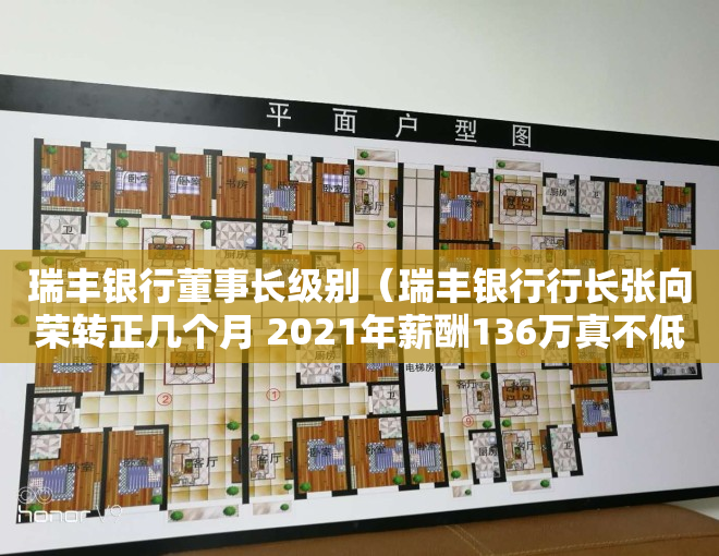 瑞丰银行董事长级别（瑞丰银行行长张向荣转正几个月 2021年薪酬136万真不低）