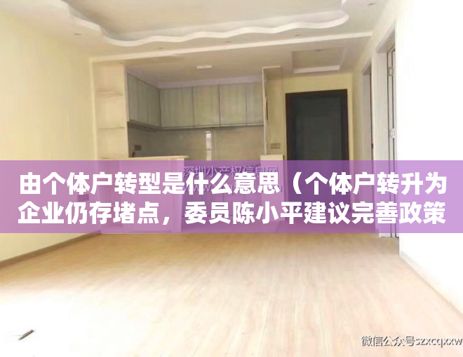 由个体户转型是什么意思（个体户转升为企业仍存堵点，委员陈小平建议完善政策激发活力）