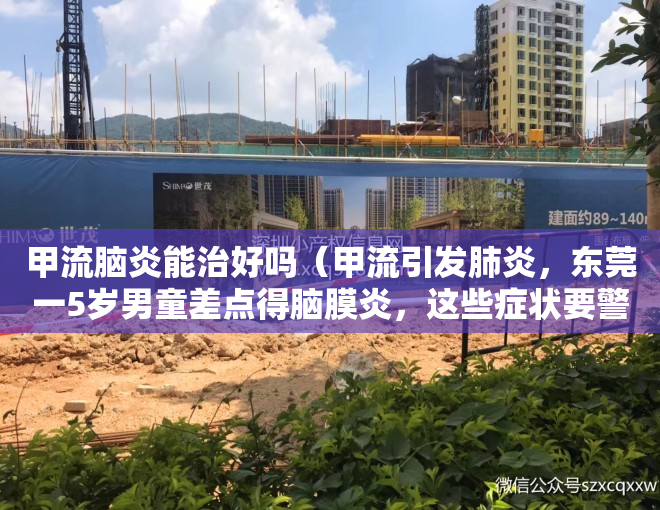 甲流脑炎能治好吗（甲流引发肺炎，东莞一5岁男童差点得脑膜炎，这些症状要警惕）