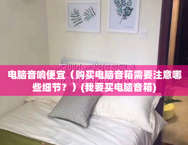 电脑音响便宜（购买电脑音箱需要注意哪些细节？）(我要买电脑音箱)