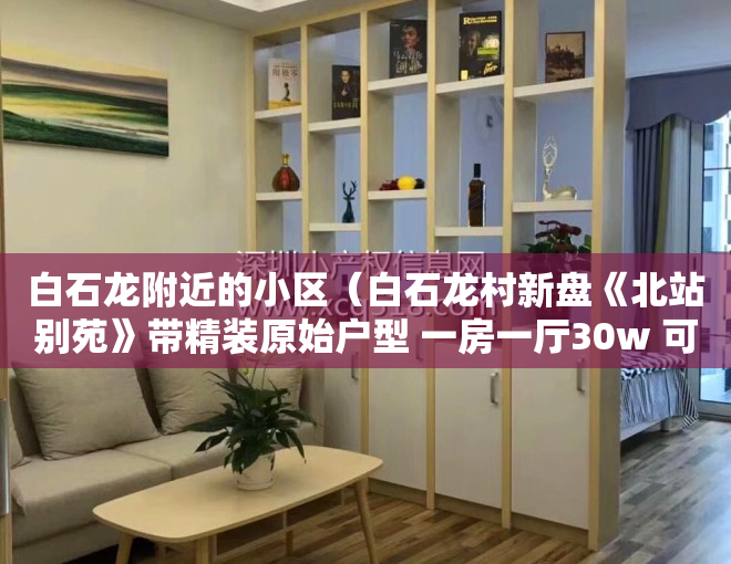 白石龙附近的小区（白石龙村新盘《北站别苑》带精装原始户型 一房一厅30w 可分期五年）