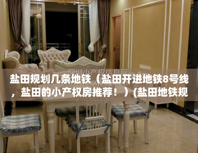 盐田规划几条地铁（盐田开进地铁8号线，盐田的小产权房推荐！）(盐田地铁规划哪些)