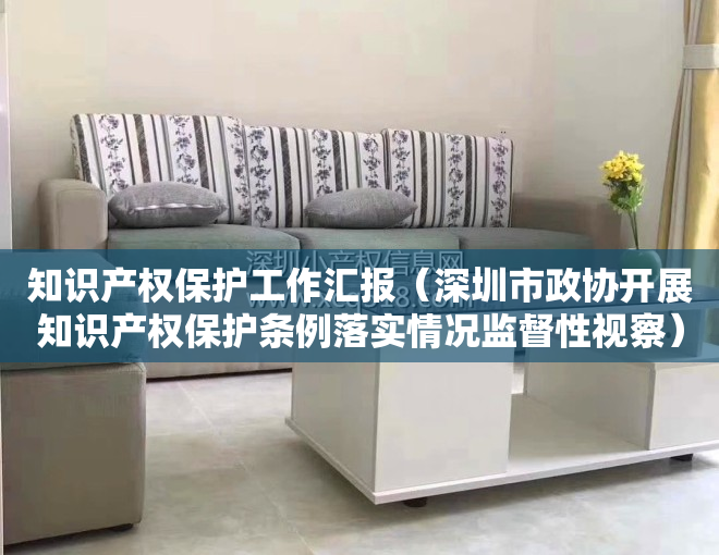 知识产权保护工作汇报（深圳市政协开展知识产权保护条例落实情况监督性视察）
