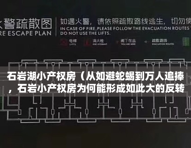 石岩湖小产权房（从如避蛇蝎到万人追捧，石岩小产权房为何能形成如此大的反转？）