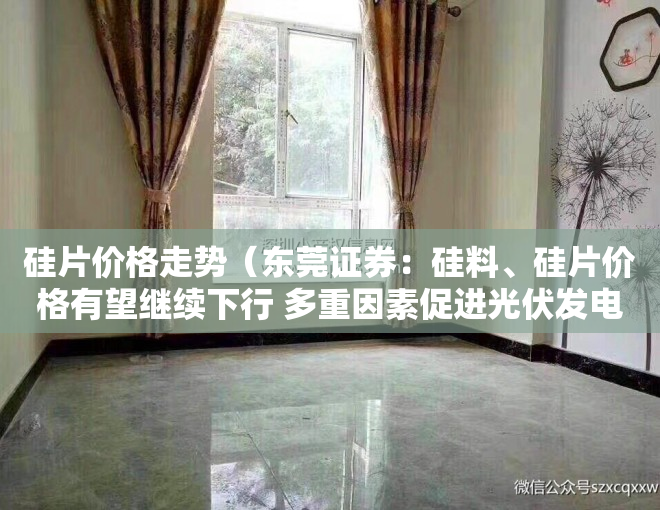 硅片价格走势（东莞证券：硅料、硅片价格有望继续下行 多重因素促进光伏发电行业良性发展）