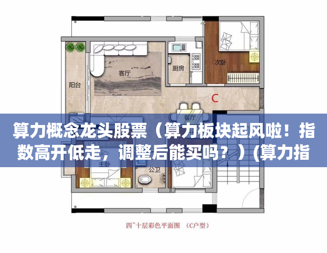 算力概念龙头股票（算力板块起风啦！指数高开低走，调整后能买吗？）(算力指标是什么意思)