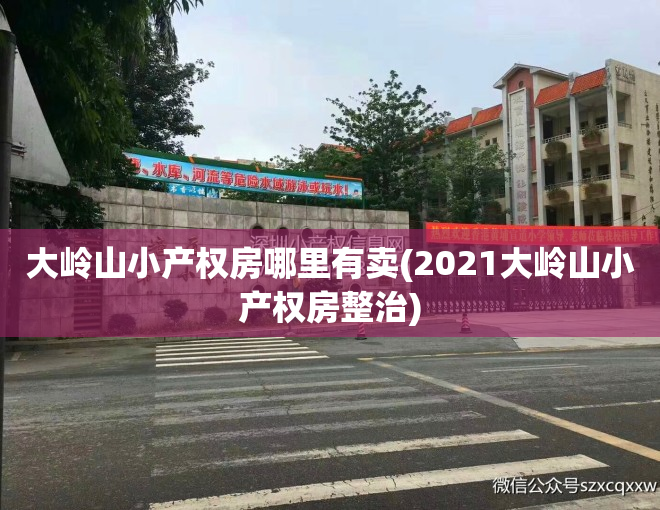 大岭山小产权房哪里有卖(2021大岭山小产权房整治)