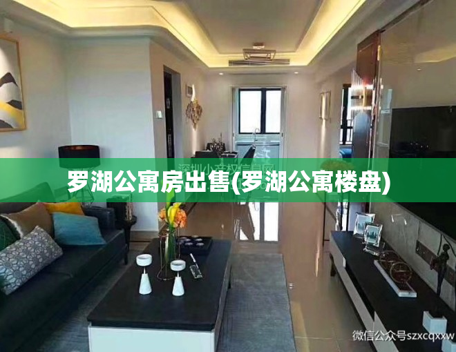罗湖公寓房出售(罗湖公寓楼盘)