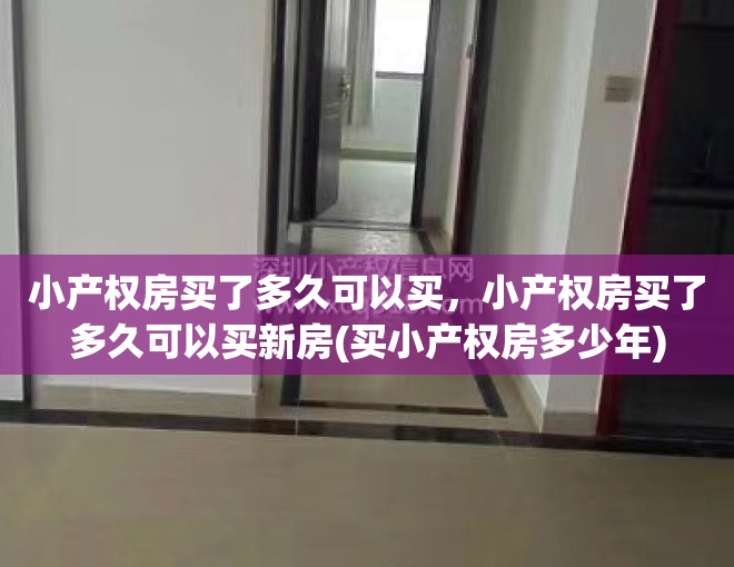 小产权房买了多久可以买，小产权房买了多久可以买新房(买小产权房多少年)