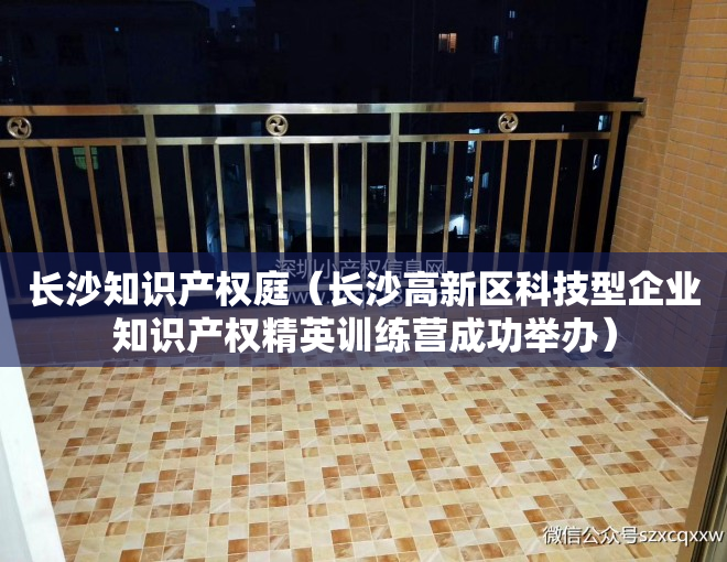 长沙知识产权庭（长沙高新区科技型企业知识产权精英训练营成功举办）