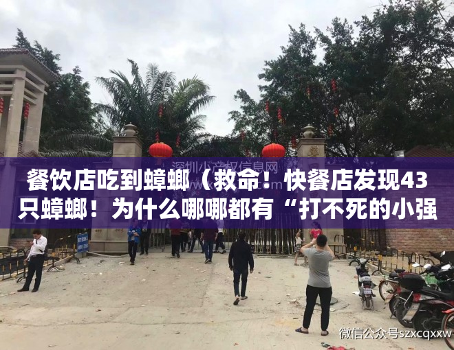 餐饮店吃到蟑螂（救命！快餐店发现43只蟑螂！为什么哪哪都有“打不死的小强”？）